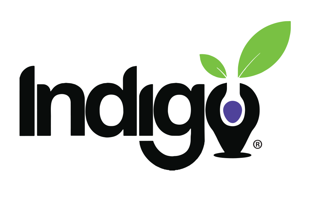xIndigo_logo_blk_rtm.png.pagespeed.ic.1c5orOsI47