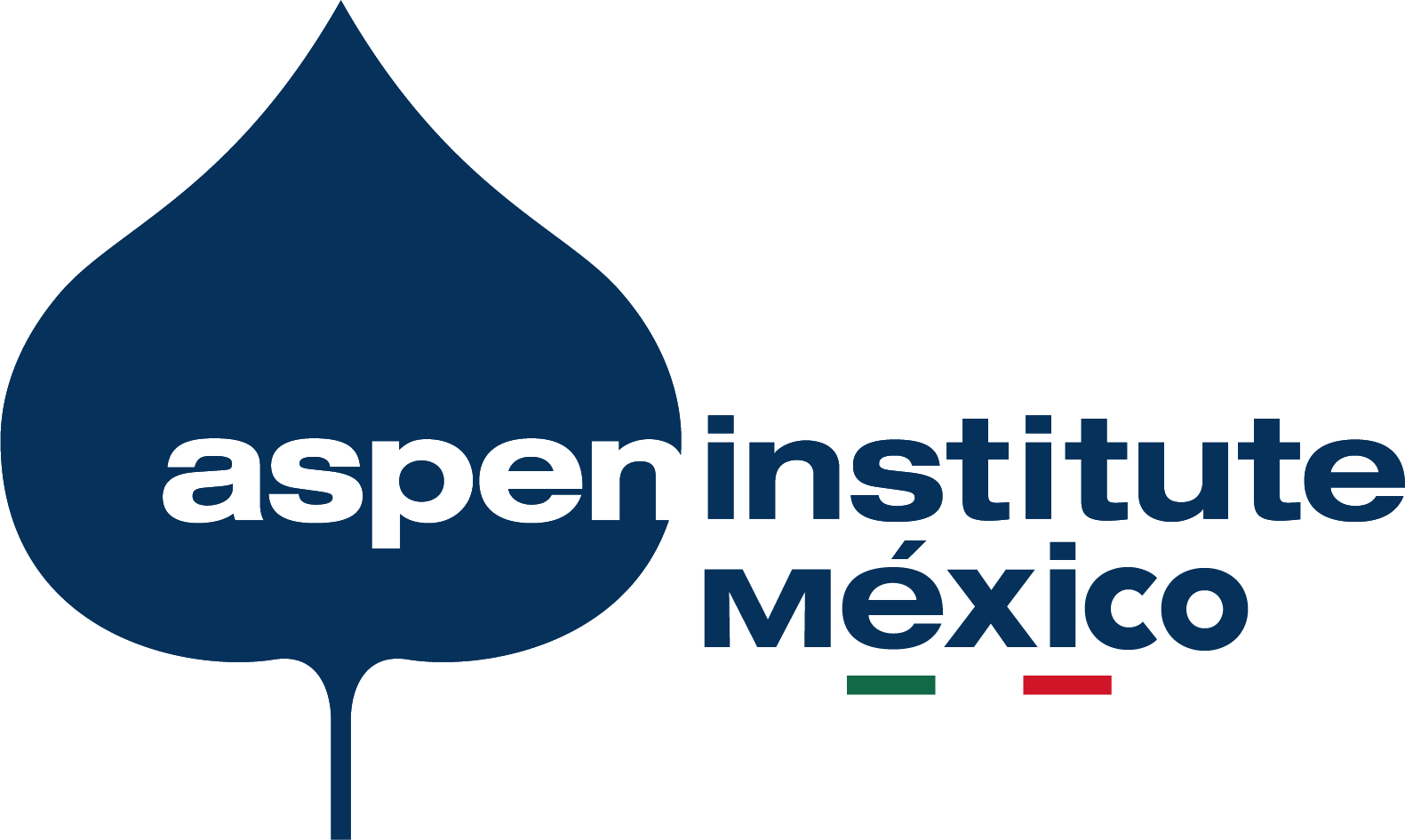 Logo Aspen MX - 2021